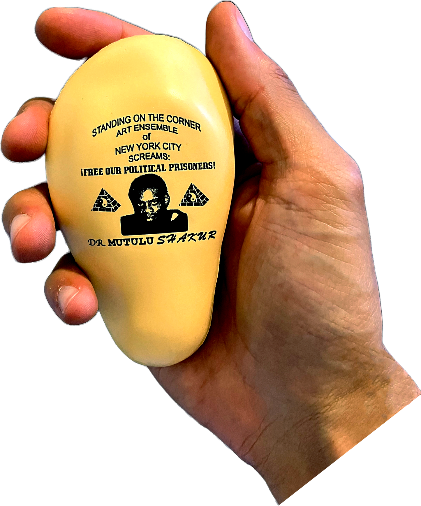 Ear Stress Ball (Clinic Souvenir)