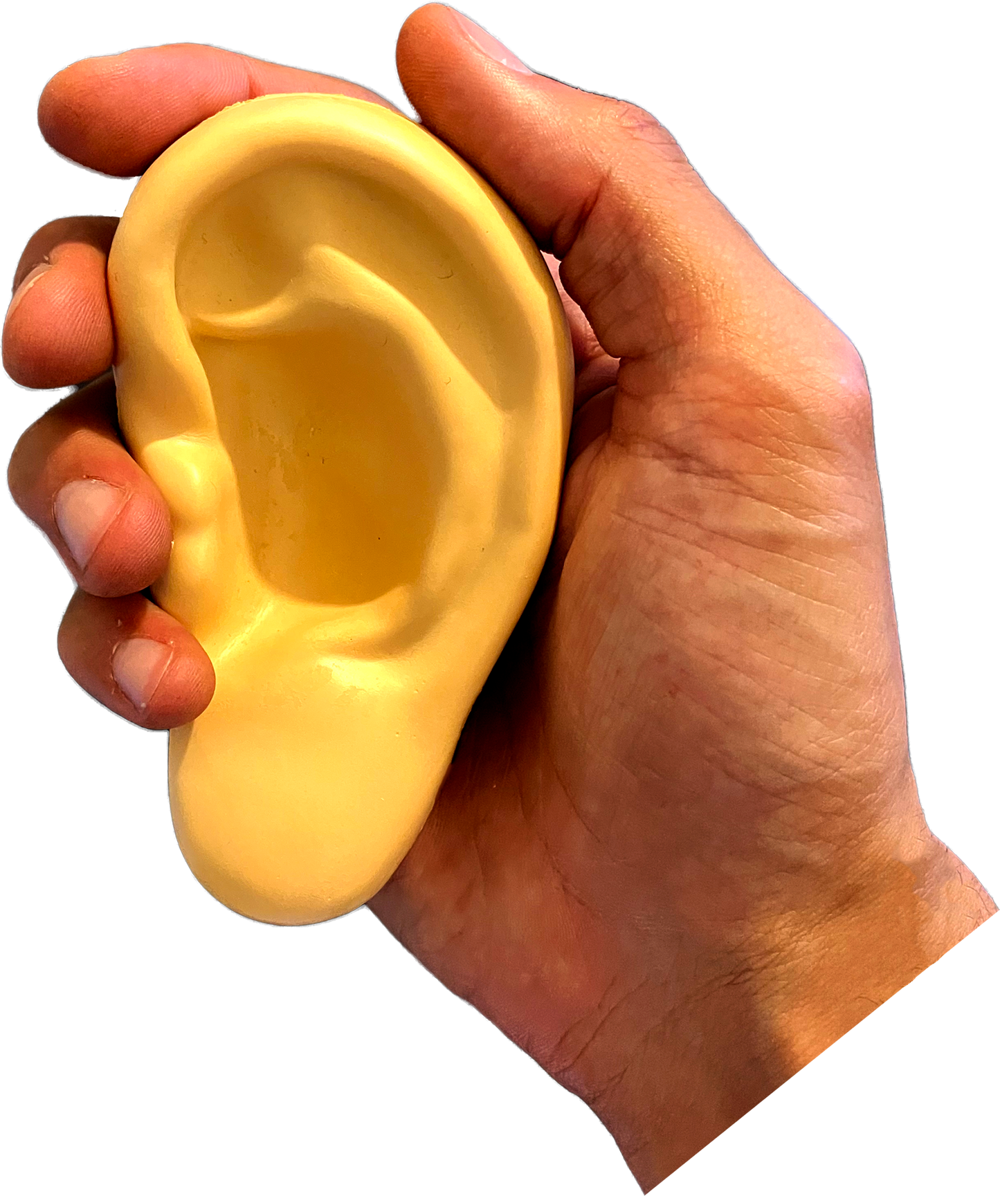 Ear Stress Ball (Clinic Souvenir)